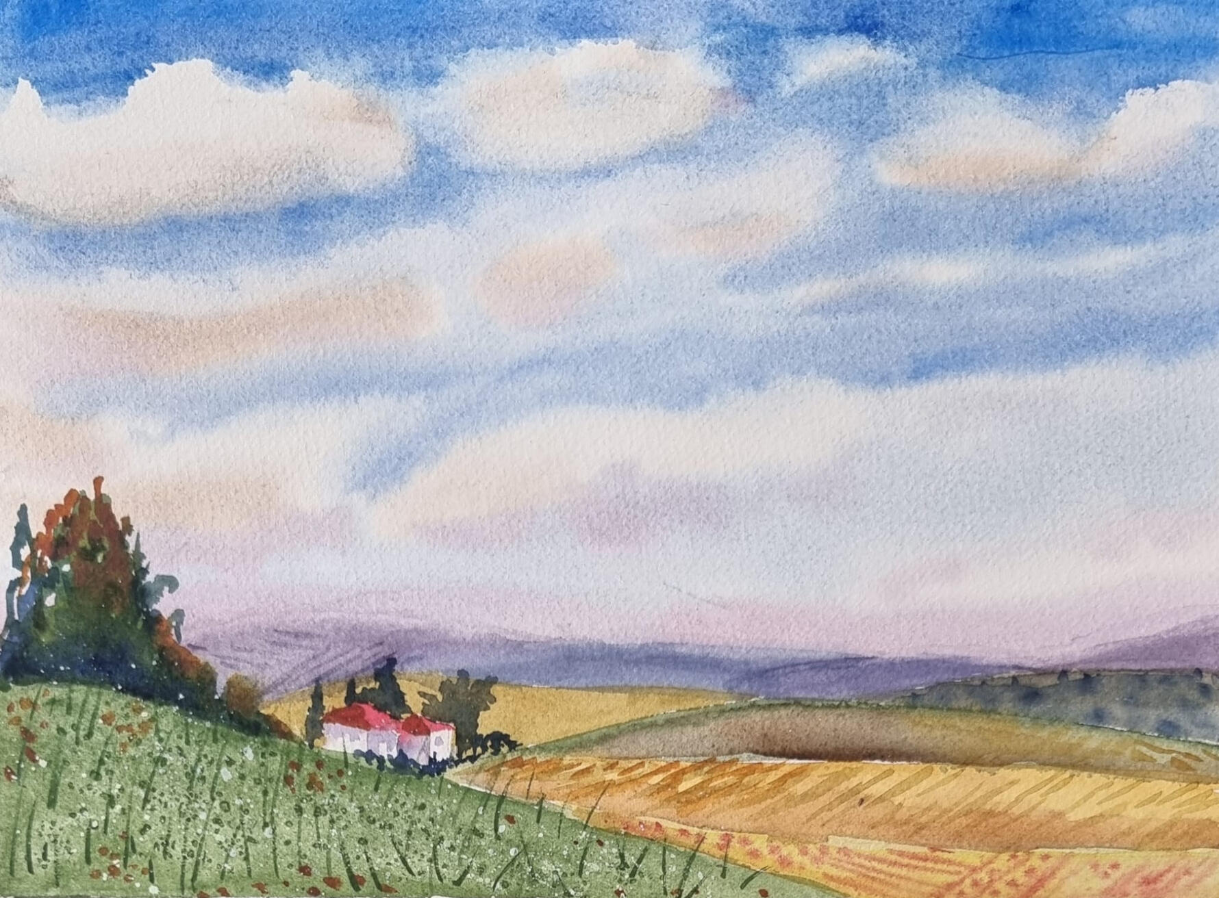 ליאורה ויסמן