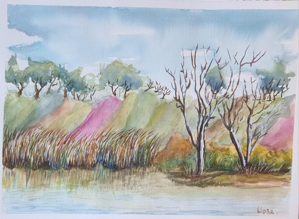 ליאורה ויסמן