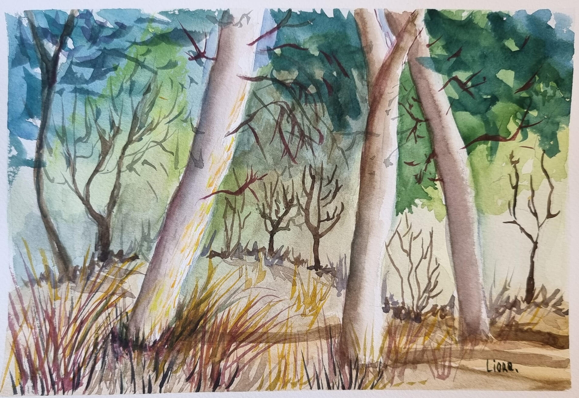 ליאורה ויסמן